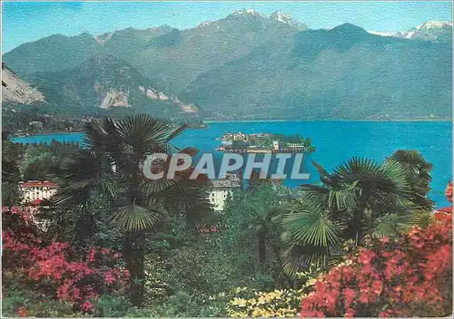 Cartes postales moderne Stresa Lago Maggiore Isola Bella