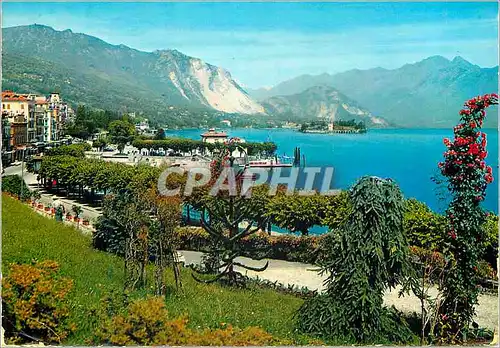 Cartes postales moderne Stresa Lac Majeur Vue Generale