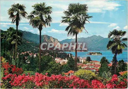 Cartes postales moderne Stresa Lago Maggiore Isola Bella