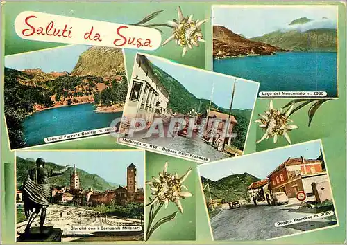 Cartes postales moderne Saluti da Susa Edelweiss Lago di Ferrera Molaretto