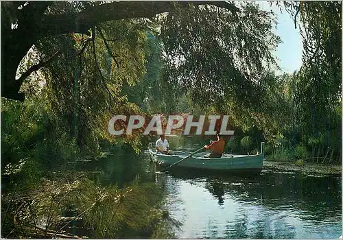 Cartes postales moderne Siracusa Fleuve Ciane avec les Papyres