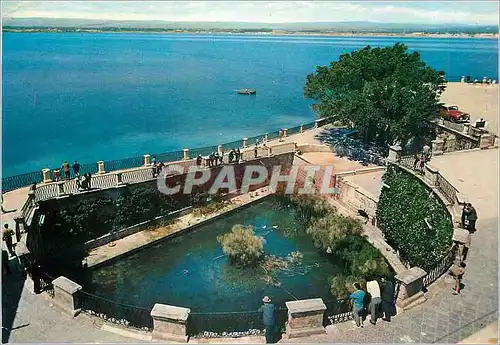 Cartes postales moderne Siracusa Fontaine d'Arethure