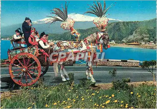 Cartes postales moderne Taormina Bronette Siciliano Caleche Cheval