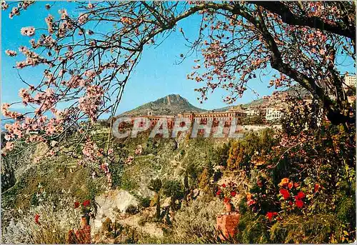Cartes postales moderne Taormina San Dominique et Amandiers en Fleurs