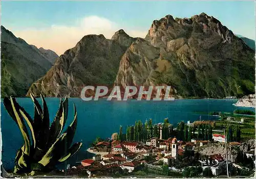 Cartes postales moderne Torbole Lago di Garda Panorama