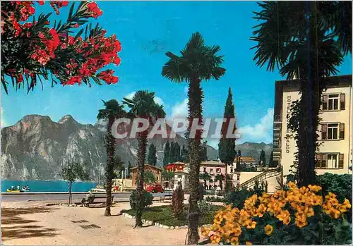Cartes postales moderne Torbole Lago di Garda Panorama