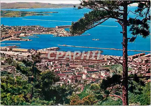 Cartes postales moderne Trieste Panorama