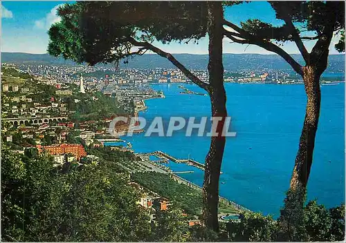 Cartes postales moderne Trieste Panorama