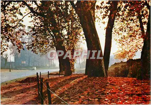 Cartes postales moderne Torino Luci e Colori d'Italia Valentino