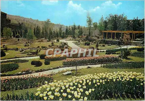 Cartes postales moderne Fiori del Mondo a Torino 1961 Esposizione Internazionale