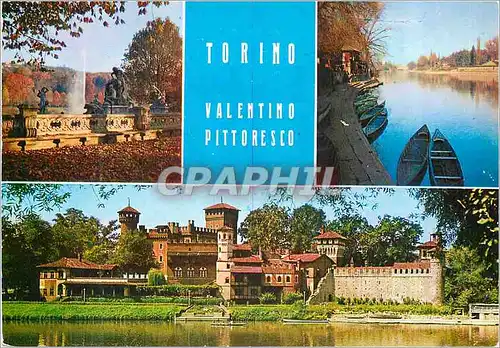 Cartes postales moderne Torino Valentino Pittoresco