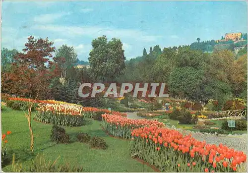 Cartes postales moderne Torino Parc du Valentine Jardin de Rocaille