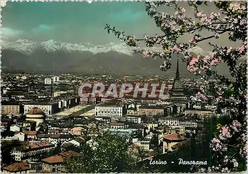 Cartes postales moderne Torino Panorama