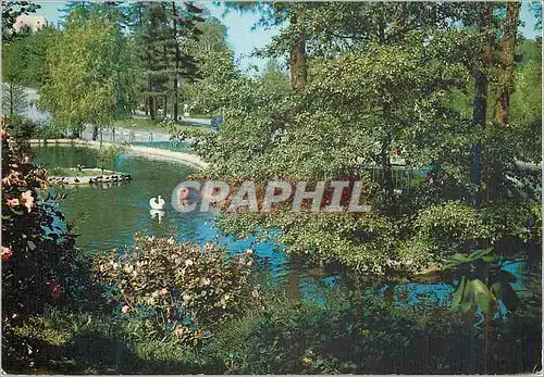 Cartes postales moderne Torino Parc du Valentino Cygnes