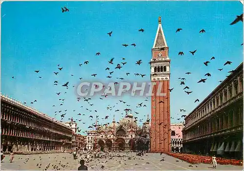 Cartes postales moderne Venezia Place St Marc Vol de Pigeons