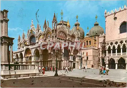 Cartes postales moderne Venezia Basilique de St Marc