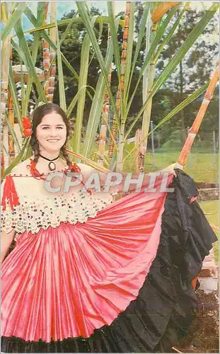 Cartes postales moderne Costarricense Folklore