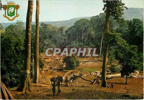 Cartes postales moderne Republique de la Cote d'Ivoire Village Typique de la Foret Elephant