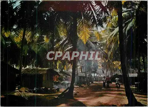 Cartes postales moderne Republique de Cote d'Ivoire Village sous les Cocotiers