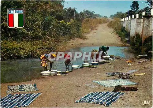 Cartes postales moderne Cote d'Ivoire Au Bourd du Marigot Lavandieres