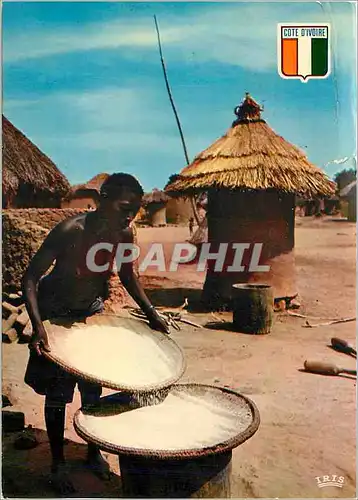 Cartes postales moderne Republique de la Cote d'Ivoire La Vie au Village