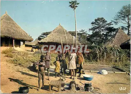 Cartes postales moderne Afrique en Couleurs la Vie au Village