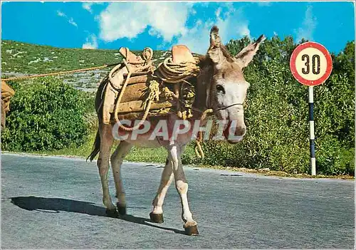 Cartes postales moderne Izoavac Vjesnik Zagreb Ane Donkey