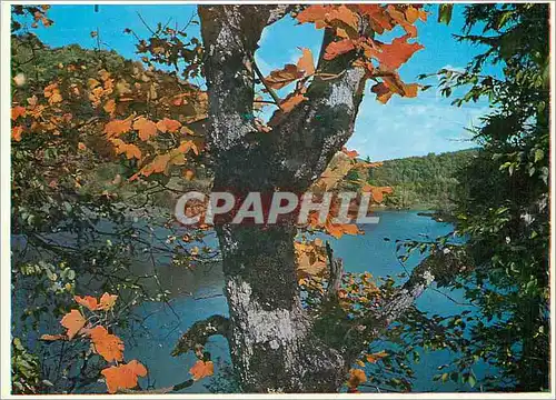Cartes postales moderne Les Lacs de Plitvice Les Lacs Superieurs