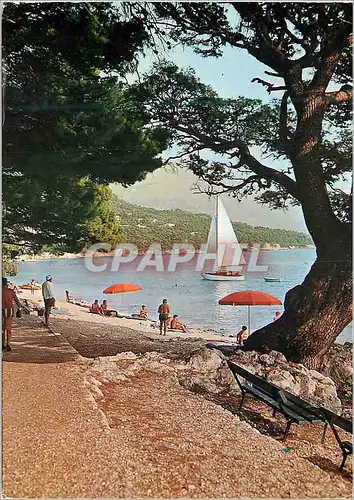 Cartes postales moderne Brela Bateau