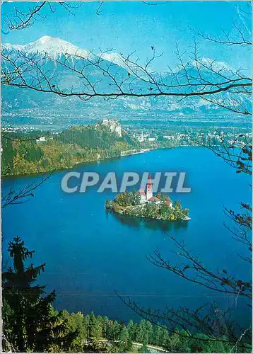 Cartes postales moderne Bled