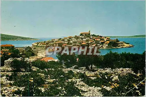 Cartes postales moderne Primosten Panorama