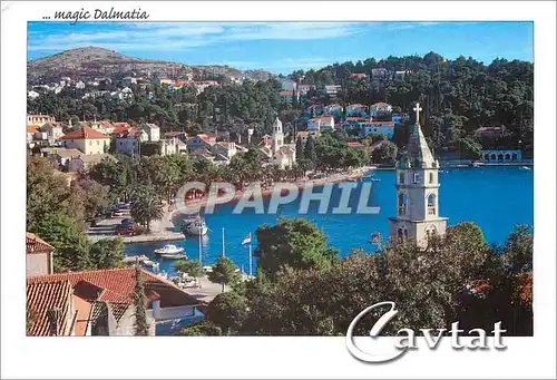 Cartes postales moderne Magic Dalmatia