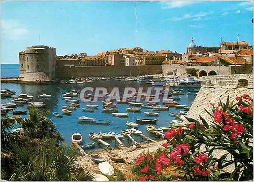 Cartes postales moderne Dubrovnik le Vieux Port de la Cite et le Fort Saint Jean Bateaux