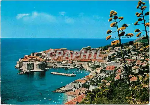 Cartes postales moderne Dubrovnik Panorama