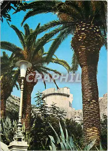 Cartes postales moderne Dubrovnik Minceta