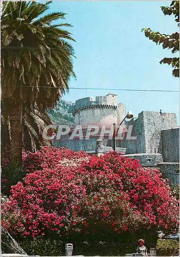 Cartes postales moderne Dubrovnik la Forteresse de Minceta XIVeme siecle