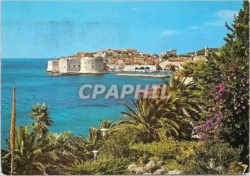 Cartes postales moderne Dubrovnik Panorama