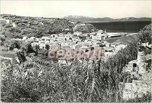 Cartes postales moderne Otok Susak Panorama