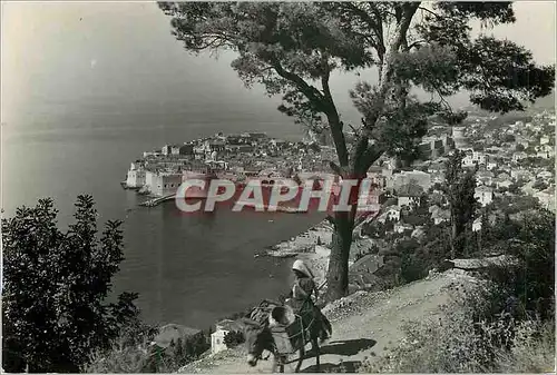 Cartes postales moderne Dubrovnik Panorama Ane Donkey