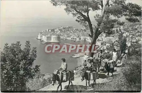 Cartes postales moderne Dubrovnik Ane Donkey Folklore