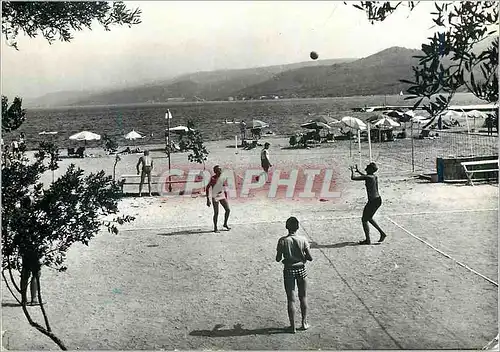 Cartes postales moderne Tivat Plaza Volley-Ball Volley Ball
