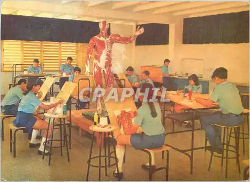 Cartes postales moderne Cuba Escuela Vocacional Lenin Anatomia