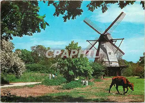 Cartes postales moderne Moulin a vent Cheval
