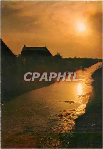 Cartes postales moderne Soleil Couchant en Camargue