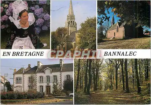 Moderne Karte Bannalec en Bretagne la Coiffe du Pays l'Eglise la Chapelle du Bois de Coat Loch la Mairie