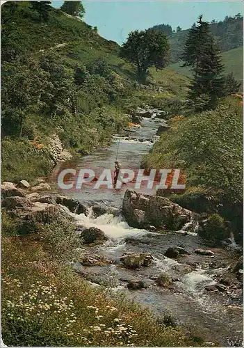 Cartes postales moderne Le Paradis des Pecheurs Peche