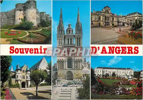 Cartes postales moderne Angers (Maine et Loire) en Anjou le Chateau la Cathedrale Saint Maurice
