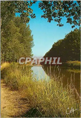 Cartes postales moderne Le Canal du Midi