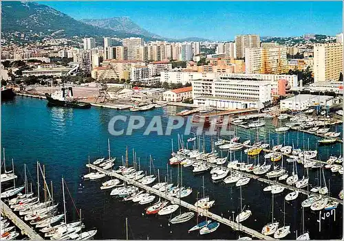 Cartes postales moderne Toulon  (Var) la Cote d'Azur le Port de Plaisance Bateaux