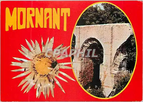 Cartes postales moderne Mornant  (Rhone) Aqueducs Romains